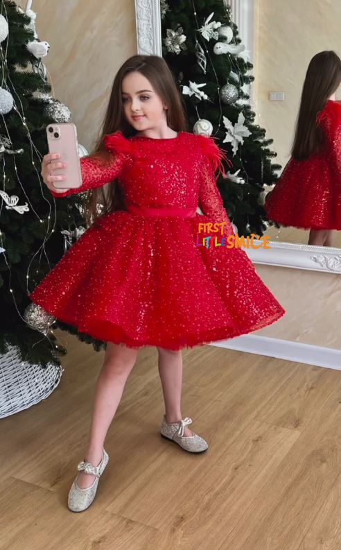 Fluffy Sequin And Beaded Birthday Party Dress