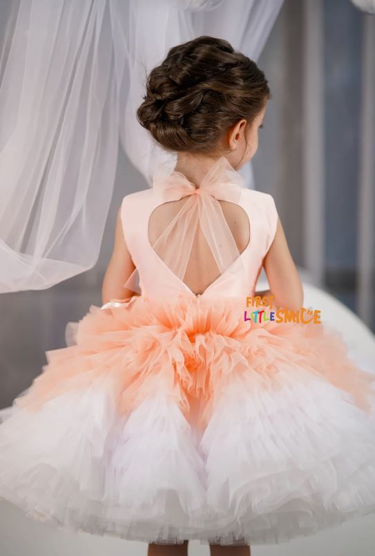 Fluffy Birthday Party Dress