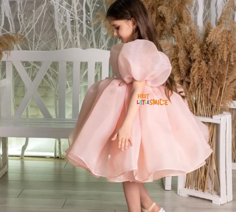 Fluffy Birthday Party Dress