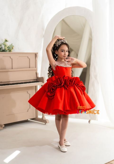 Fluffy Birthday Party Dress