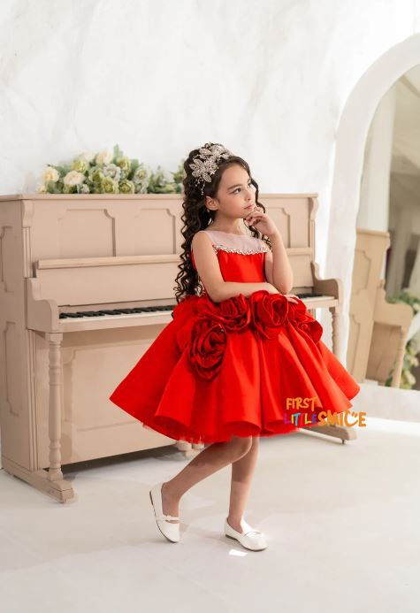 Fluffy Birthday Party Dress