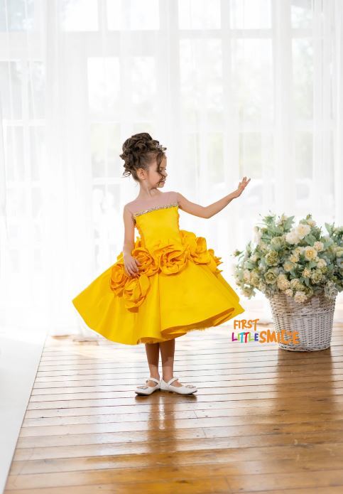 Fluffy Birthday Party Dress