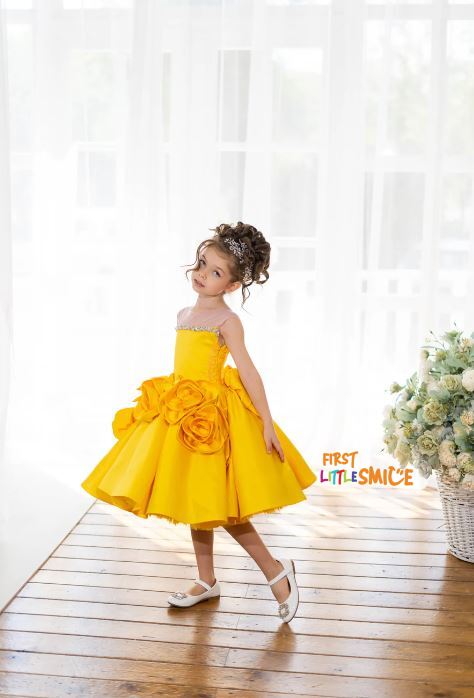 Fluffy Birthday Party Dress