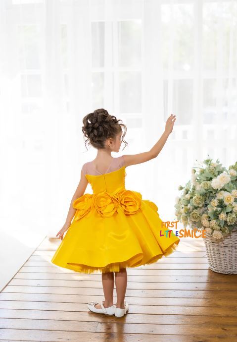 Fluffy Birthday Party Dress
