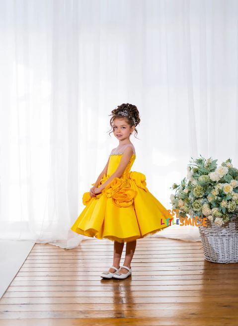 Fluffy Birthday Party Dress