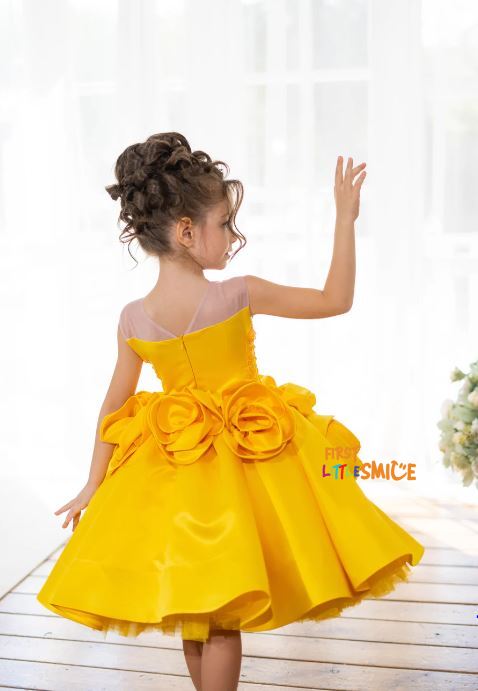 Fluffy Birthday Party Dress