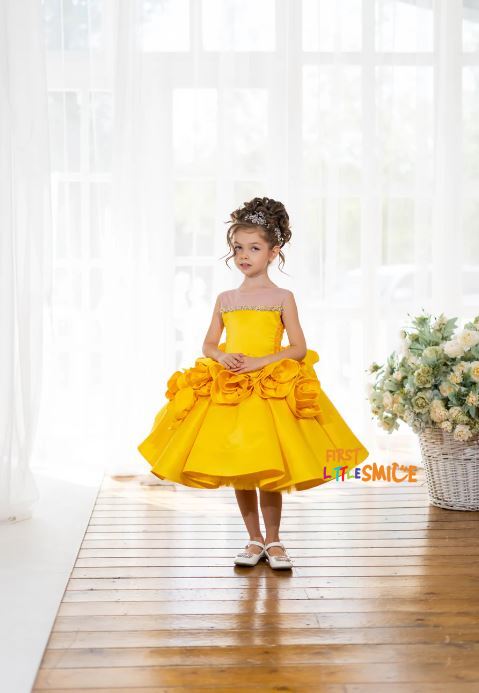 Fluffy Birthday Party Dress