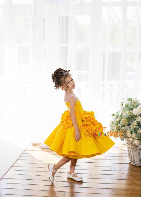 Fluffy Birthday Party Dress