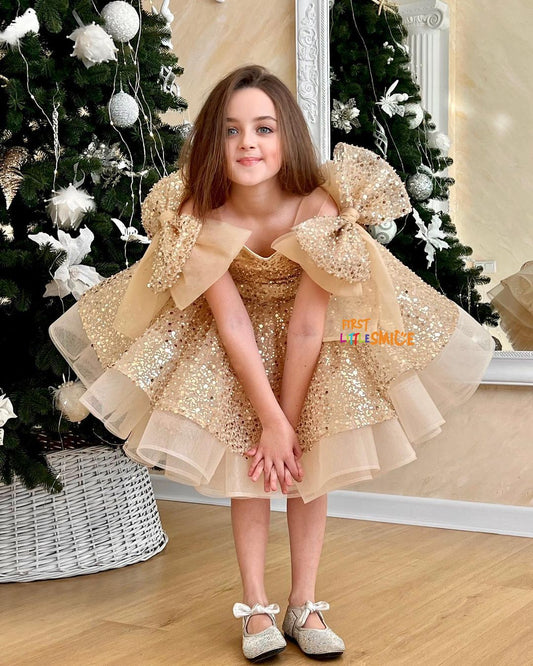 Beaded Fluffy Birthday Party Dress